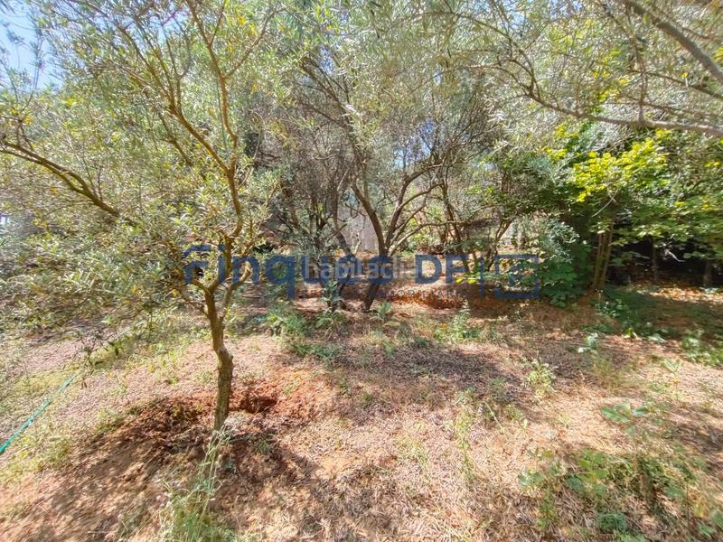 Foto 1245aa08-cb36-429b-a334-d90b7bd19098. Residential plot in Riudarenes