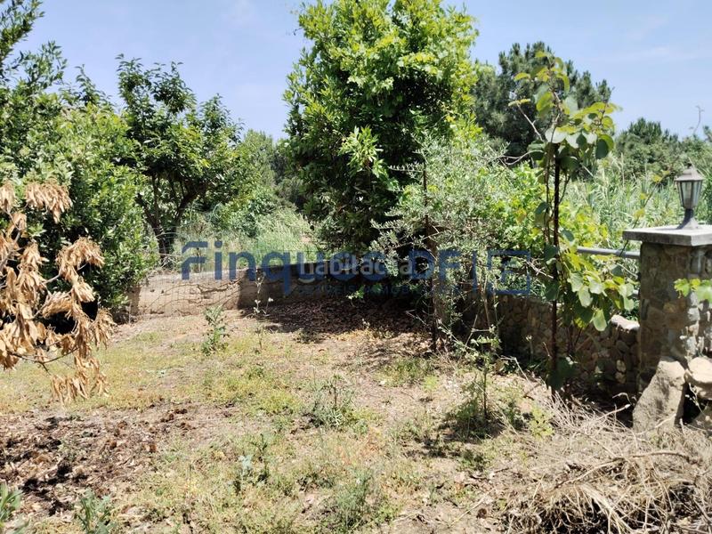 Foto 162ace9f-983c-4046-8f2e-1213bd9df3c8. Residential plot in Riudarenes