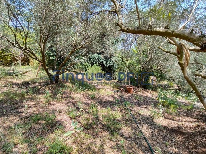 Foto 44284af3-d3b3-4a09-b74f-68043e622202. Residential plot in Riudarenes