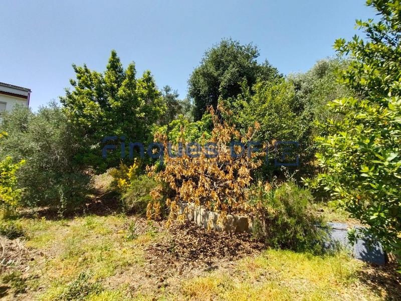 Foto 54421e75-f2b9-481a-9663-f52ac6dd8b92. Residential plot in Riudarenes