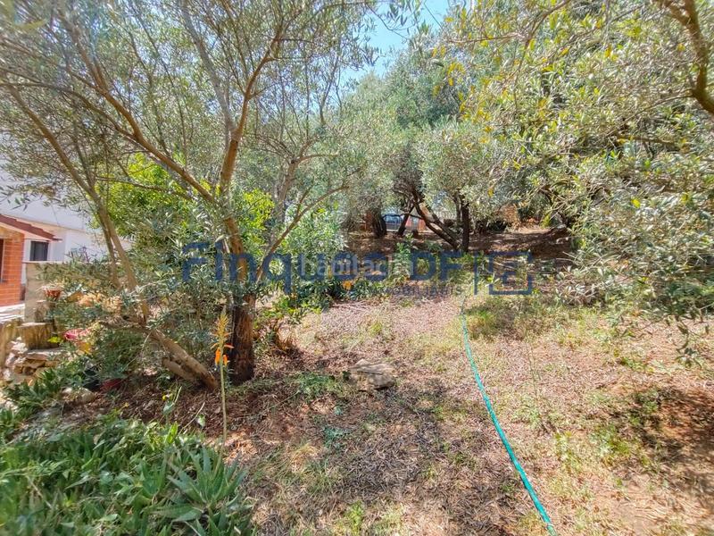 Foto 66ee1607-a4fa-4c25-8770-5748b53301a1. Residential plot in Riudarenes