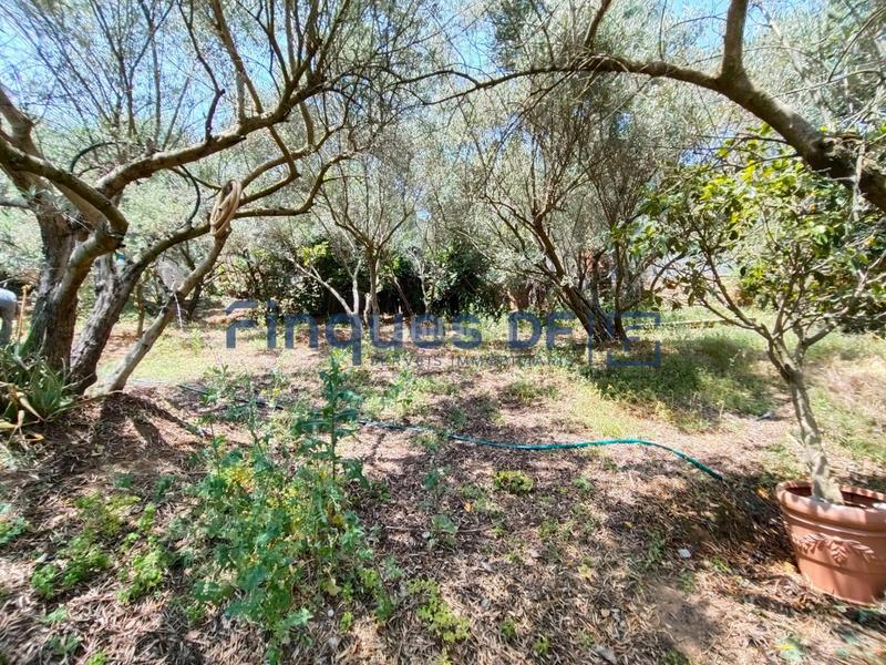 Foto 9894ecf4-49ed-4c1b-85d7-c085e9b94e52. Residential plot in Riudarenes