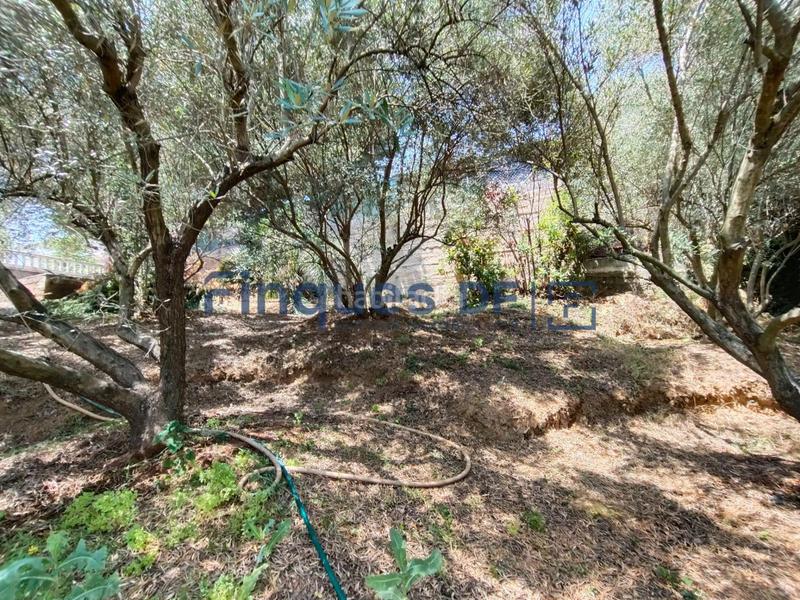 Foto d1747c4b-f8ef-4582-8d27-0803e303e419. Residential plot in Riudarenes