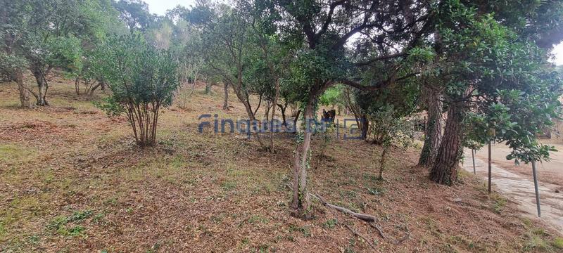 Foto 15dac8db-dbb2-44d6-ad75-6978705e527d. Chalet con riscaldamento parcheggio piscina in Aiguaviva Parc Vidreres