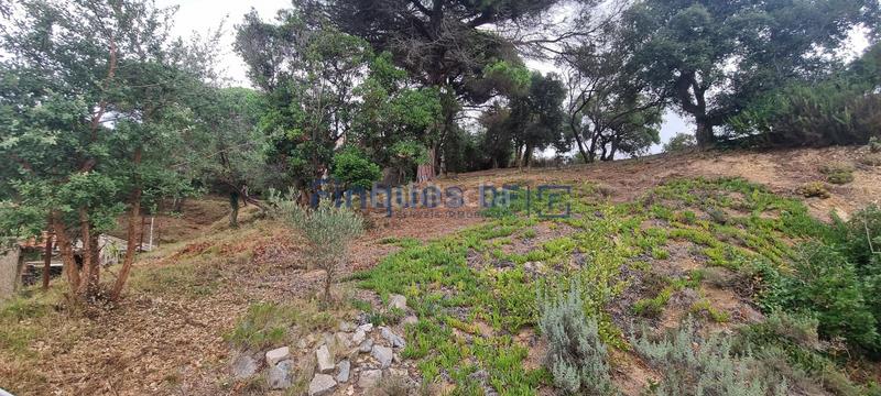 Foto a5d66a05-2281-4b15-9588-4b00d2e149e9. Chalet con riscaldamento parcheggio piscina in Aiguaviva Parc Vidreres