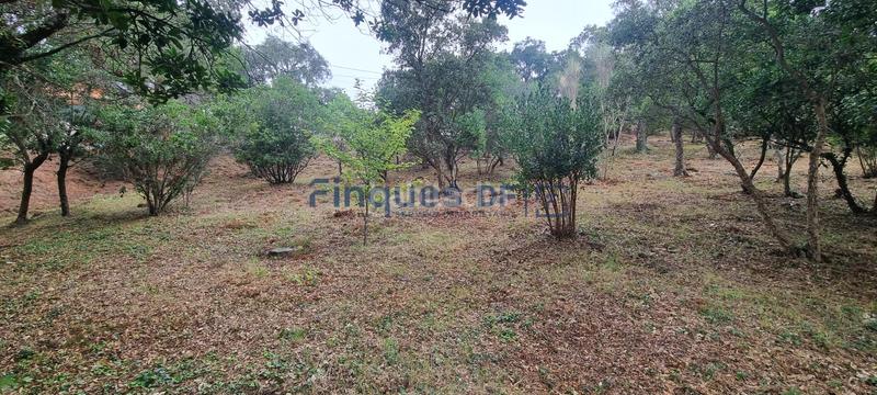 Foto a9c22969-aeae-4186-83ae-a9e1cc2e9024. Chalet con riscaldamento parcheggio piscina in Aiguaviva Parc Vidreres