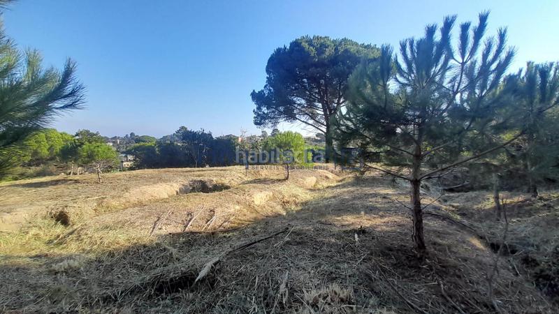 Foto c498be81-9d8e-4ad4-9a3e-84542a71559b. Terreny residencial a Montbarbat Maçanet de la Selva