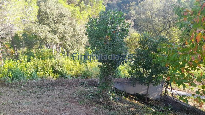 Foto c951fb6f-4893-4d64-a6f7-9814bac58d8f. Terreny residencial a Montbarbat Maçanet de la Selva