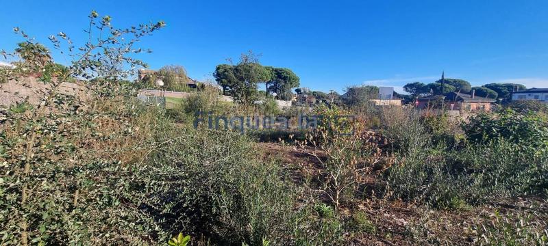 Foto 3569c3f2-0d84-4f28-8f09-ac8ca760b81a. Residential plot in venus 4 in La Goba Vidreres