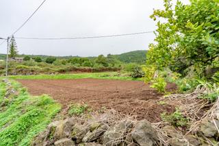 Fondo rustico in Tanque (El). Terreno rústico agrario en el tanque
