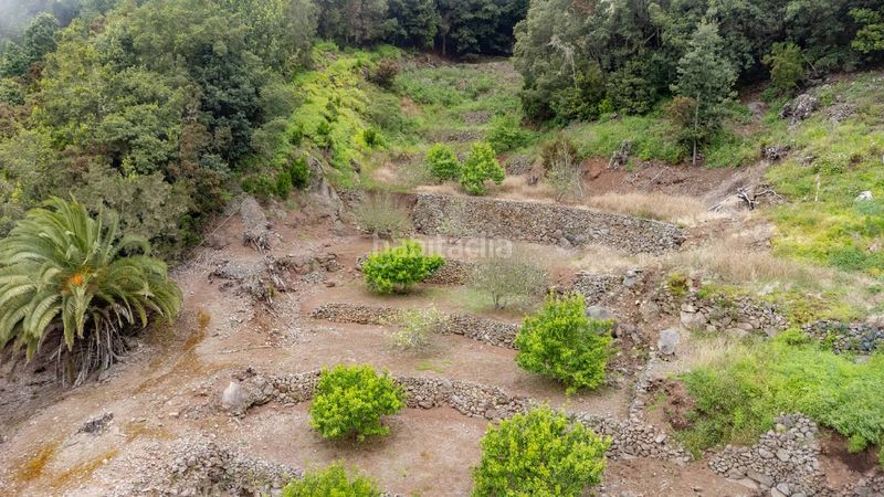 Foto dbbedf4a-b316-42b2-aeaa-2d1143091467. Casale con riscaldamento parcheggio in Agulo