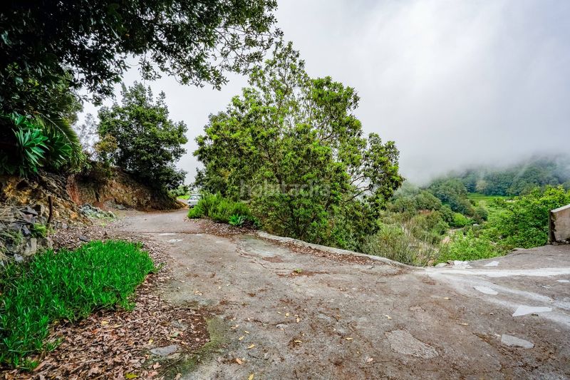 Foto e30cb181-fceb-4a8b-8751-0ac4dca0a7af. Casale con riscaldamento parcheggio in Agulo