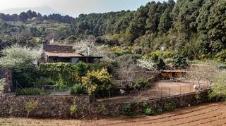 Xalet a Caserio de la florida 30. Finca rustica con espectacular chalet en icod de los vinos