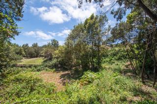 Rural plot in Calle de rosa vieja 0