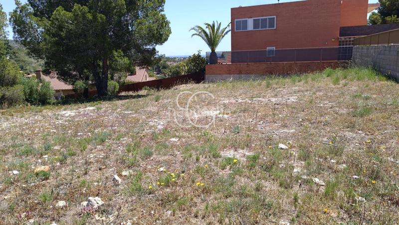 Foto 43817b8a-68c2-4da7-92fc-9cf8a8a33e15. Wohngrundstück in Roda de Barà