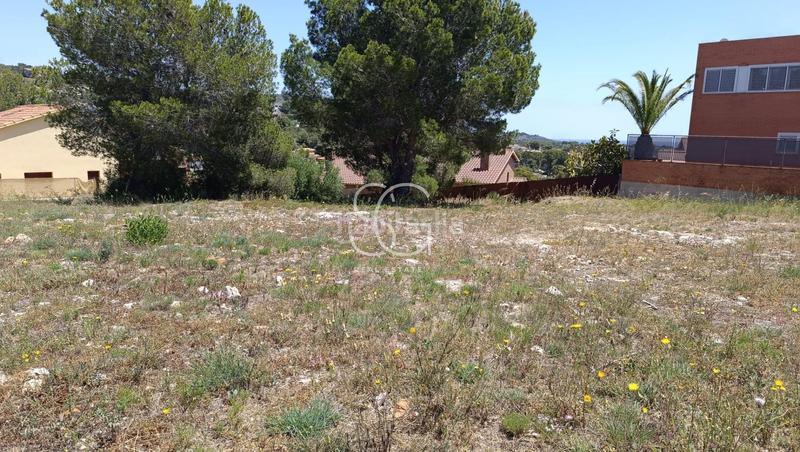 Foto eef191ab-214b-498a-afb6-ba683ff0ff8a. Wohngrundstück in Roda de Barà