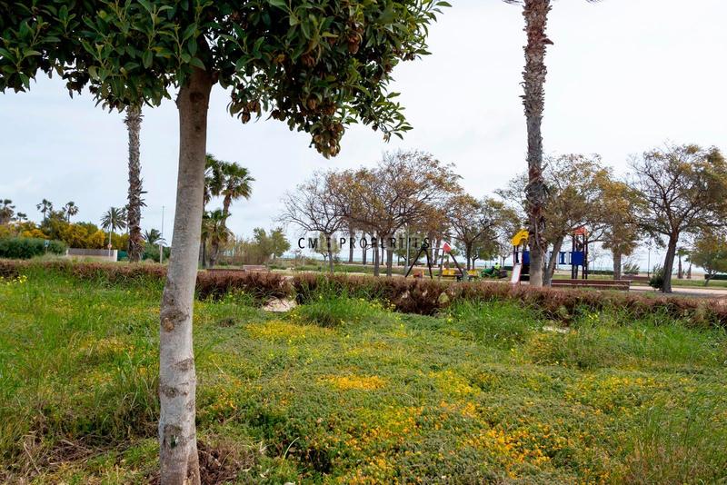 Foto c16e035c-2440-4702-9815-3b3139c77ad3. Reihenhaus mit heizung parking pool in Almenara