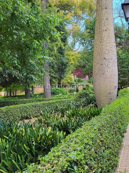 Foto a1545d9f-216a-4031-aa33-f78e0fd2f2f2. Alquiler piso disponible en enero en Aiora Valencia