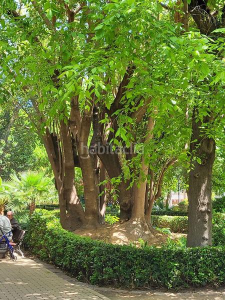 Foto 3e5428a8-c379-40fc-94fc-f230ad157211. Miete etagenwohnung in Aiora Valencia