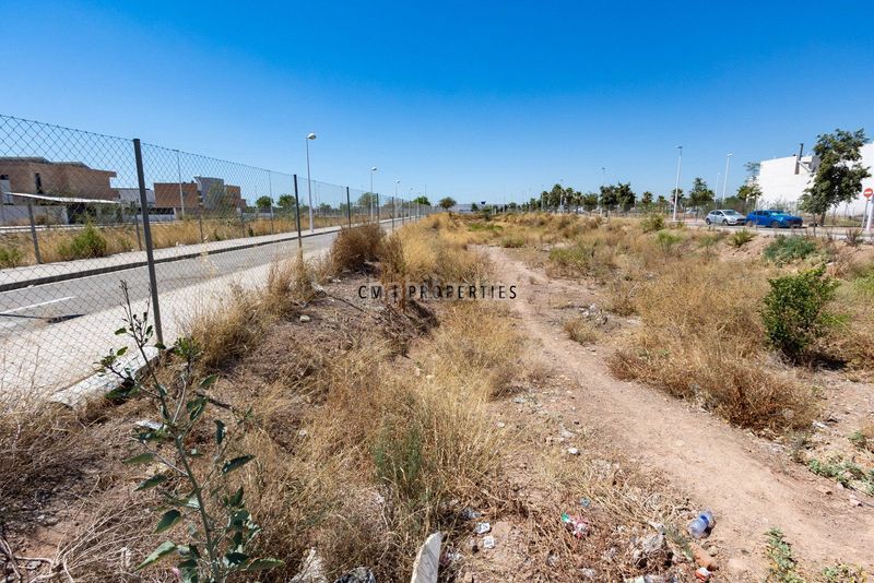 Foto 3a9c562d-f3f2-43b9-a09d-e685463111a7. Finca rústica a Zona Estación Sagunt