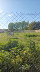 Terreno residencial en Yeles