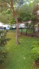 Apartament  Calanda
