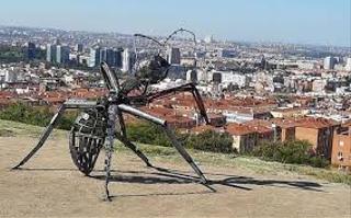 Pis  Calle carlos sole. Se vende piso reformado para entrar a vivir