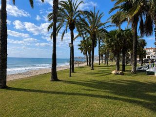Geschäftsraum  Paseo maritimo mediterraneo