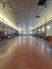 Location Bâtiment à usage industriel à Alcantarilla. Nave de 1000m2 inigfugada contra doble techo