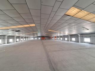 Lloguer Nau industrial a Alcantarilla. 3000m2 nave inigfugada con techo aislante en p.oeste