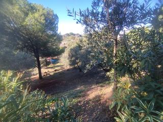 Rural plot in Las Jaras. Se vende terreno en trassierra