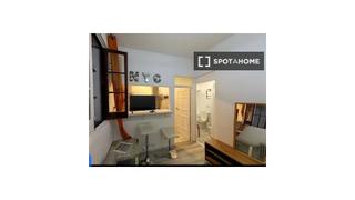 Rent Flat in Embajadores-Lavapiés. Piso de 1 dormitorio en alquiler en plaza cascorro, madrid