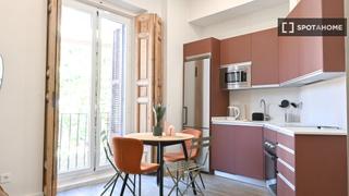 Flat in Embajadores-Lavapiés