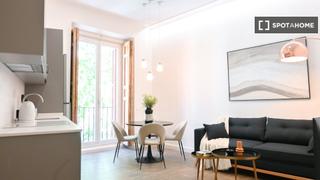 Location Appartement à Embajadores-Lavapiés. Estudio en alquiler en palacio, madrid