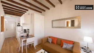 Miete Etagenwohnung in Puerta del Ángel. Bonito estudio en alquiler en la puerta del ángel, madrid.