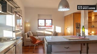 Alquiler Piso en Embajadores-Lavapiés. Apartamento de 1 dormitorio en alquiler en puerta de toledo, mad