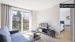 Lloguer Pis a Argüelles. Moderno apartamento de 2 habitaciones en alquiler en argelles, m