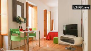 Location Appartement à Puerta del Ángel. Estudio en alquiler en puerta del ángel, madrid