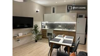 Location Appartement à Embajadores-Lavapiés. Apartamento de 1 dormitorio en alquiler en embajadores, madrid