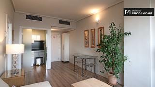 Lloguer Pis a Castilla. Hermoso apartamento de 1 dormitorio en alquiler en nueva españa