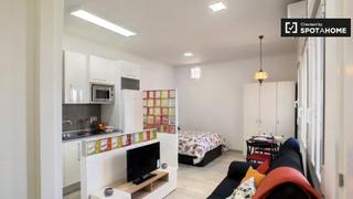 Location Appartement à Embajadores-Lavapiés. Moderno estudio en alquiler en lavapiés, madrid