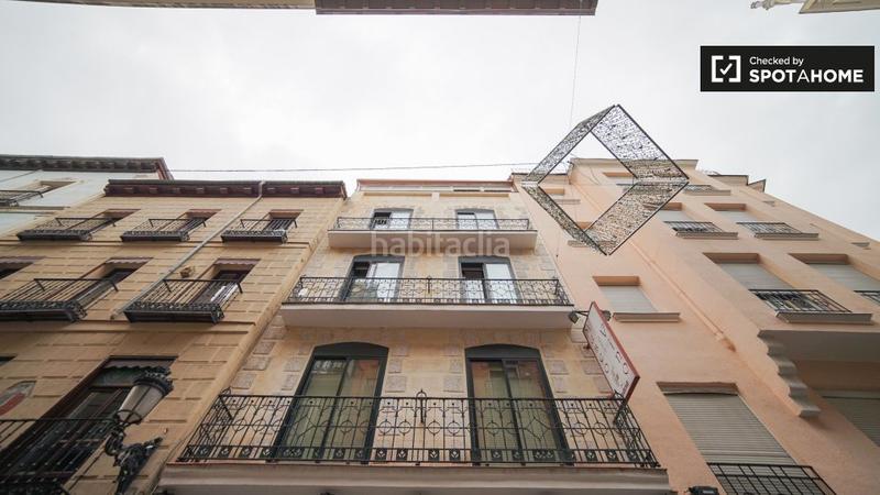 Foto b1aee316-d695-45fa-a8fd-e80348f1bed4. Alquiler piso  de 1 dormitorio en alquiler en sol, . en Madrid