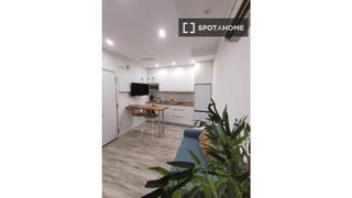 Rent Flat in Embajadores-Lavapiés. Estudio en alquiler en embajadores, madrid