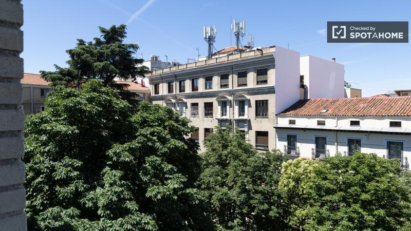 Foto fa31f891-ecf8-447c-8a67-2a0add8ecda6. Alquiler piso apartamento de 2 dormitorios en alquiler en salamanca, en Madrid