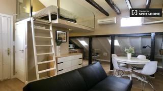 Rent Flat in Universidad-Malasaña. Elegante estudio en trafalgar