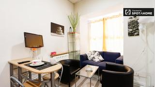 Lloguer Pis a Universidad-Malasaña. Acogedor apartamento de 1 dormitorio en alquiler en cheuca, madr