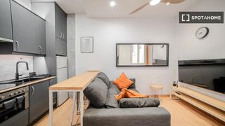 Rent Flat in Embajadores-Lavapiés. Acogedor apartamento de 1 dormitorio en alquiler en lavapiés, ma