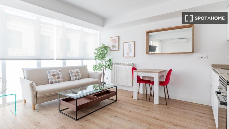 Foto b5143cd0-e4d4-414c-9d0a-c1023f3757f2. Alquiler piso estudio en alquiler en castillejos, en Madrid