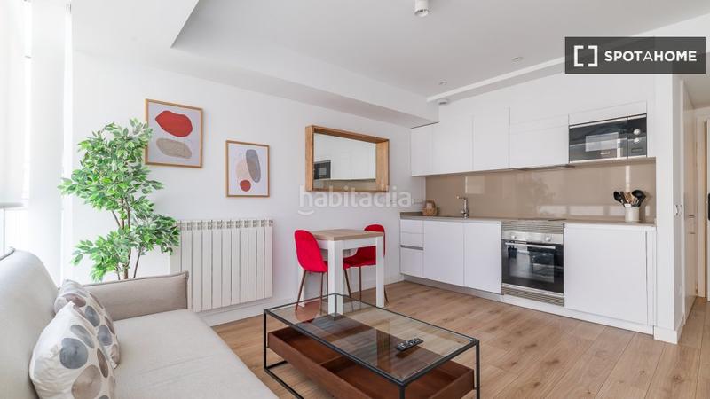 Foto c8fbb604-bb10-4c28-a3dd-f379ce367053. Alquiler piso estudio en alquiler en castillejos, en Madrid