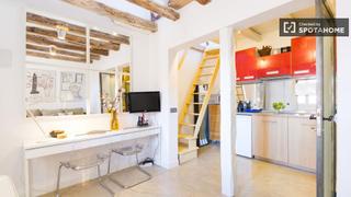 Location Appartement à Embajadores-Lavapiés. Estudio moderno en alquiler en lavapiés, madrid